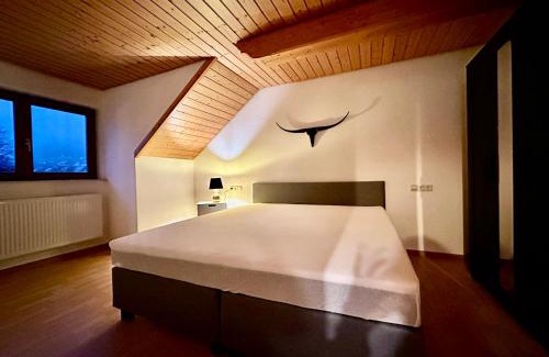 Eggingen Apartment | Ferienwohnung Olymp (2,5 Zimmer)