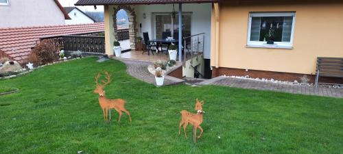 Sandberg Apartment | Ferienwohnung Panoramablick-Rhön