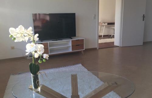 Rheinfelden Apartment | Ferienwohnung Paradies