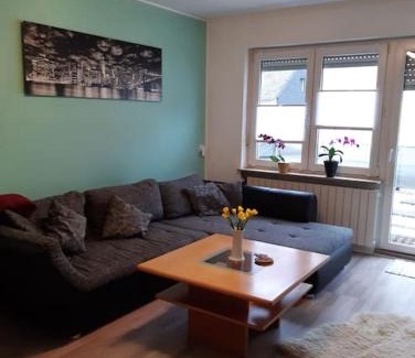 Mehring Apartment | Ferienwohnung Philippi - Moselblick mit großer Dachterrasse, 75 qm, Hunde willkommen