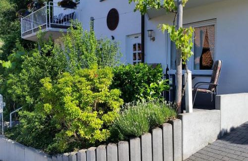Rech Apartment | Ferienwohnung Pollig