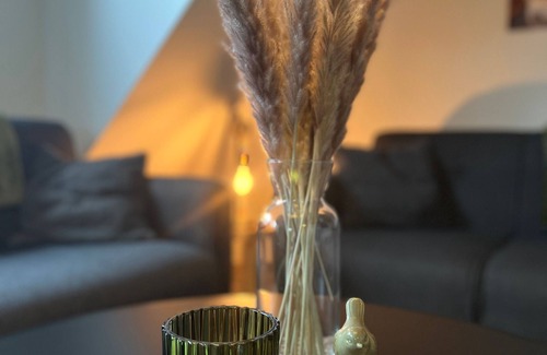 Ihlowerfehn Apartment | Ferienwohnung Ponywiese