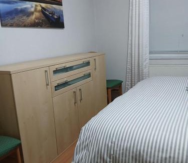 Frankenberg Apartment | Ferienwohnung Röddenau