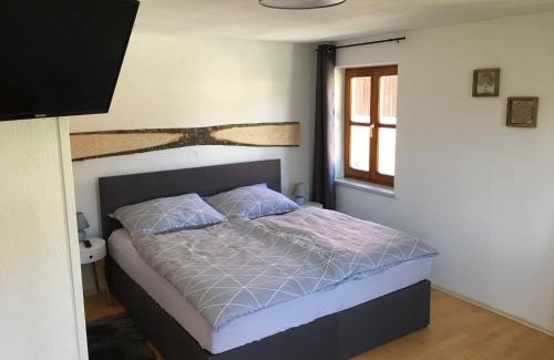 Tiefgraben Apartment | Ferienwohnung Radauer