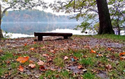 Linow Apartment | Ferienwohnung Rheinsberg