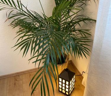 Rhode Apartment | Ferienwohnung Rickelhoff