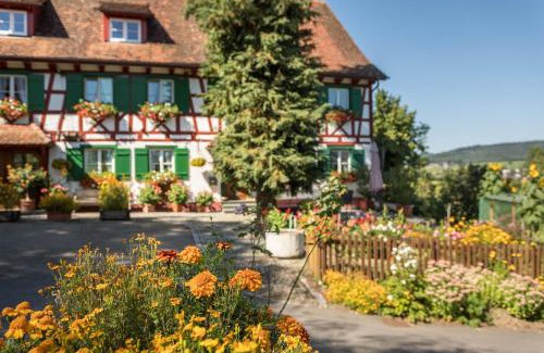 Owingen Apartment | Ferienwohnung Risthof 1