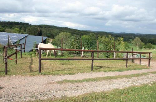 Nettersheim Apartment | Ferienwohnung Roderath