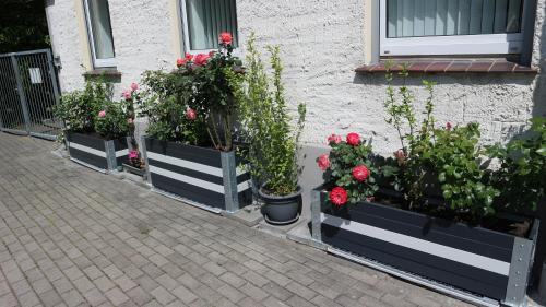 Forst Apartment | Ferienwohnung Rosenstadt