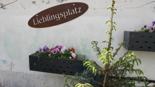 Forst Apartment | Ferienwohnung Rosenstadt