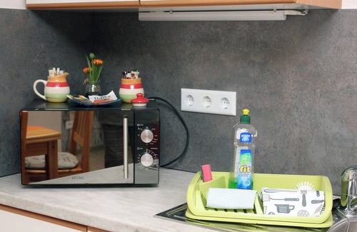 Mainz-Bingen Apartment | Ferienwohnung Rosenzimmer