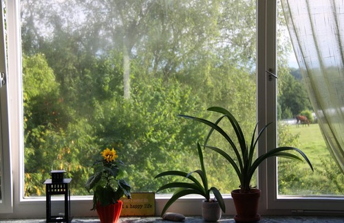 Ailingen Apartment | Ferienwohnung "Sonnenblume", 72qm, 2 Schlafzimmer, max. 4 Personen