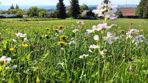 Saalfelder Hoehe Apartment | Ferienwohnung Saalfeld - Sommerfrische Burkersdorf