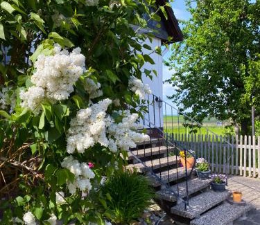 Weddingen Apartment | Ferienwohnung Santino