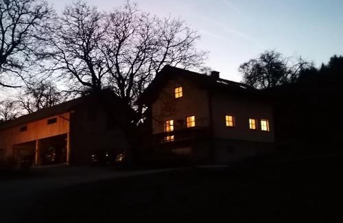 Tuernitz Apartment | Ferienwohnung Sattelhof