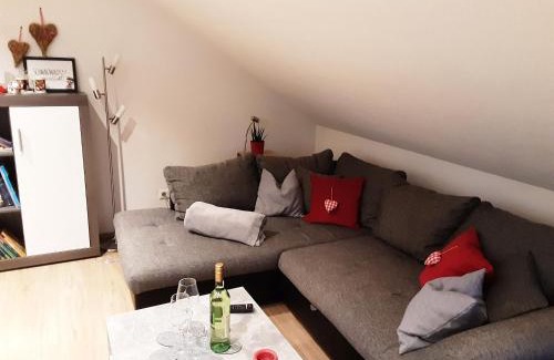 Oberharmersbach Apartment | Ferienwohnung Schöner