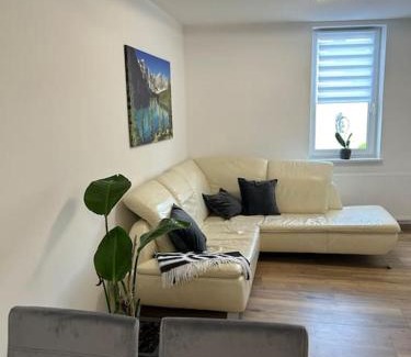Eisfeld Apartment | Ferienwohnung Schwalbennest