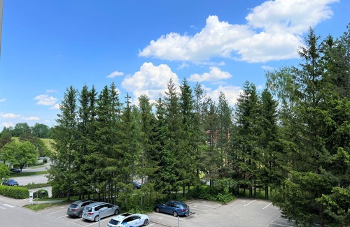 Schwarzenbach Apartment | Ferienwohnung "schwanennest"
