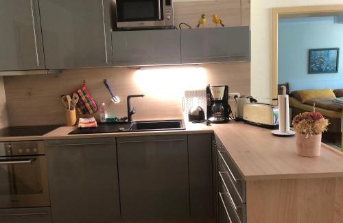 Schwarzburg Apartment | Ferienwohnung Schwarzatal