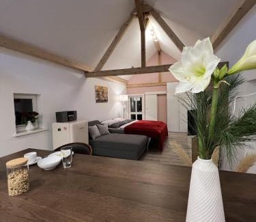Weimar Apartment | Ferienwohnung Schwein gehabt
