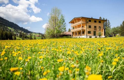 Mittelberg Apartment | Ferienwohnung Schwendle Egg