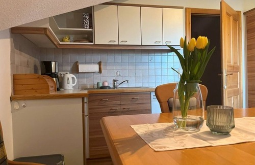 Attersee Apartment | Ferienwohnung Seiringer - Ferienwohnung 2-4 Personen
