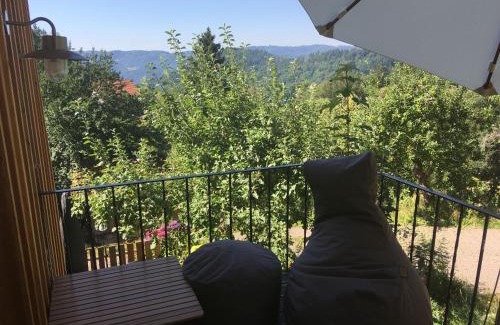 Brandmatt Apartment | Ferienwohnung SichtWeiten
