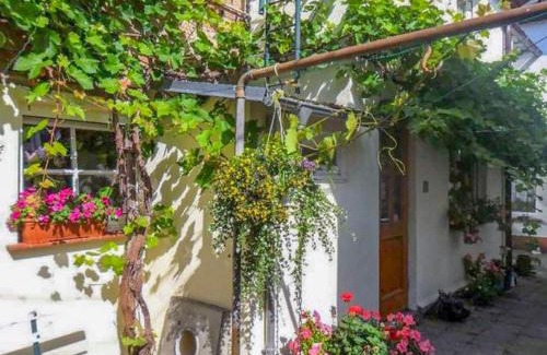 Bad Sulze Apartment | Ferienwohnung Socolowsky