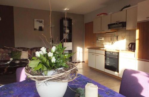 Ehrenberg Apartment | Ferienwohnung Stirnbergblick
