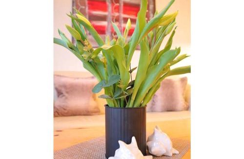 Neufeld Apartment | Ferienwohnung Strandaster