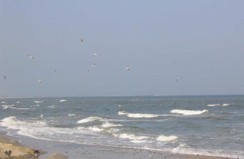Schoenhagen Apartment | Ferienwohnung Strandglück
