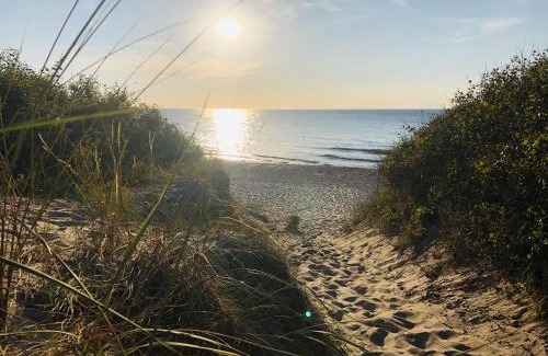 Saal House | Ferienwohnung Teehaus