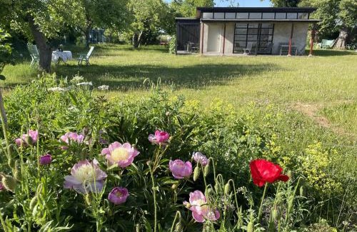 Saal House | Ferienwohnung Teehaus