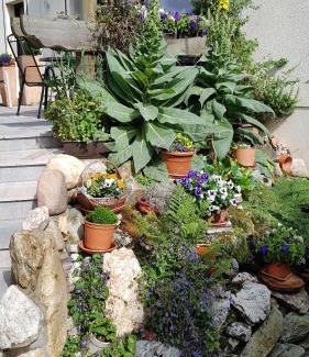 Burgen Apartment | Ferienwohnung Tetzlaff