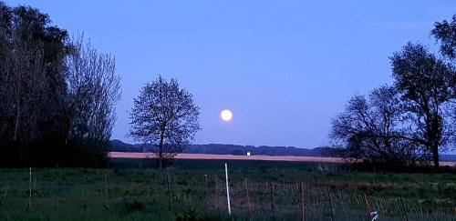 Lieschow Apartment | Ferienwohnung Thees