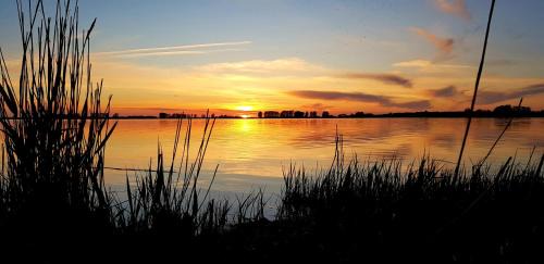 Lieschow Apartment | Ferienwohnung Thees