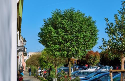Tittmoning Apartment | Ferienwohnung Tittmoning zwischen Salzburg, Burghausen und Österreich