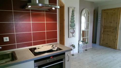 Schwabstedt Apartment | Ferienwohnung-Treeneblick