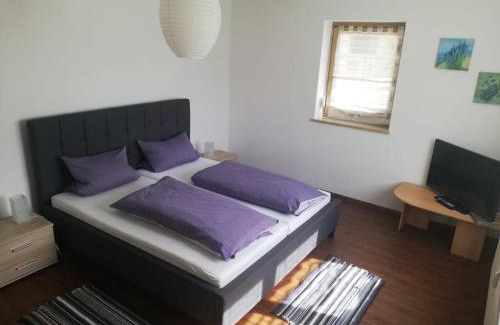 Falkenberg Apartment | Ferienwohnung und Sommerhaus unter der Burg