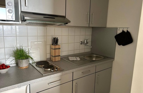 Geyersberg Apartment | Ferienwohnung Uns Uwe mit Balkon