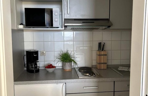 Geyersberg Apartment | Ferienwohnung Uns Uwe mit Balkon