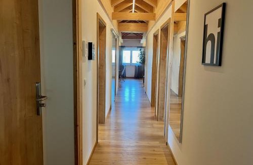 Sinzing Apartment | Ferienwohnung Villa Bachfischer