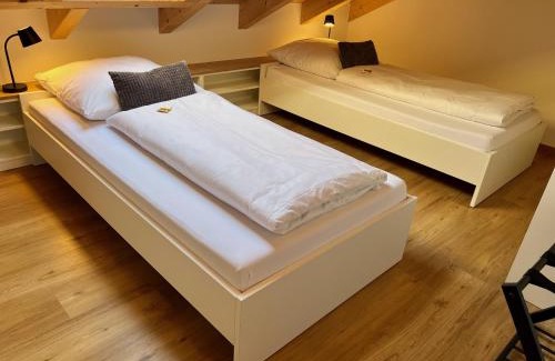 Sinzing Apartment | Ferienwohnung Villa Bachfischer