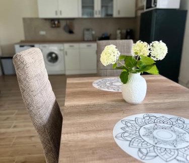 Aschersleben Apartment | Ferienwohnung Villa Einetal