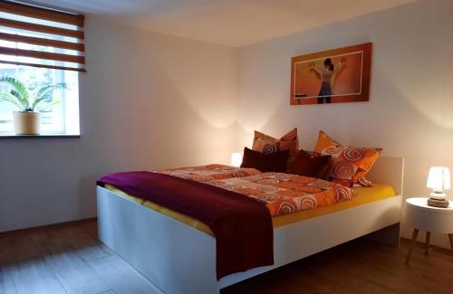 Meiningen Apartment | Ferienwohnung Villa Frosch