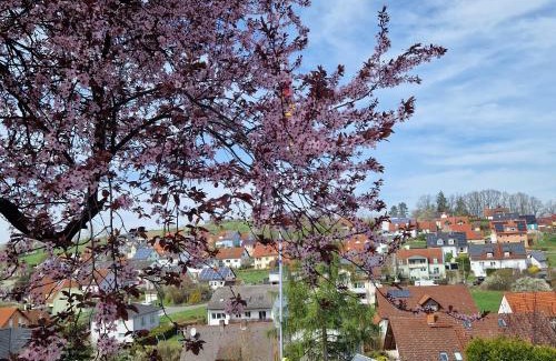Viereth Apartment | Ferienwohnung Wachter in Viereth mit tollem Ausblick