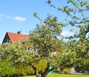 Bueckeburg Apartment | Ferienwohnung Waldblick Bückeburg