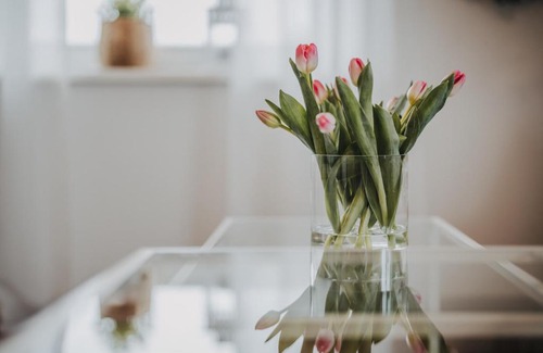 Varel Apartment | Ferienwohnung Weidenblick