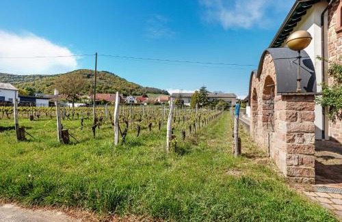 Eschbach Apartment | Ferienwohnung Weingut Löwenthal