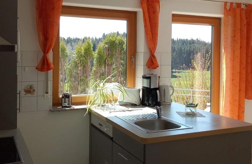 Amtzell Apartment | Ferienwohnung Weinrebe - Gasthof Grüner Baum "kongo"
